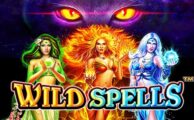 Mengenali Lebih Dekat Permainan Slot Wild Spells