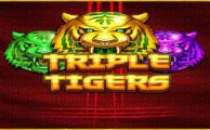 Menjelajahi Ketangguhan Permainan Slot Triple Tigers